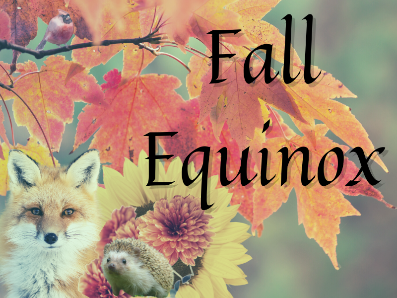 Fall Equinox, Spiritual Year, Sacred Wheel